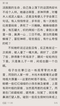 在菲律宾工作一定要有合法签证吗 打黑工会怎么样 下文详解